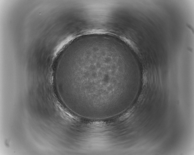X0000100891406200807011146