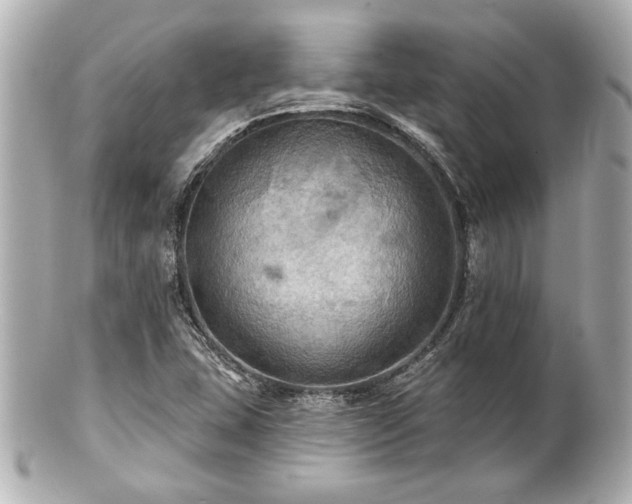 X0000100891407200807011146