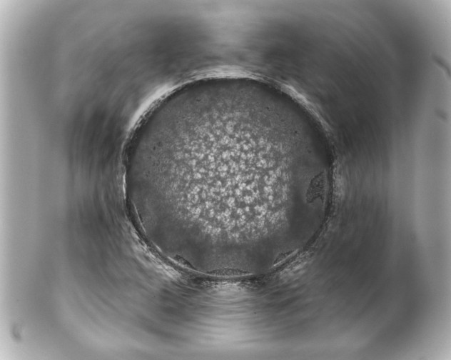 X0000100891408200807011146