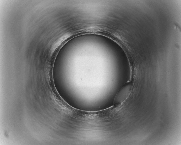 X0000100891410200807011146