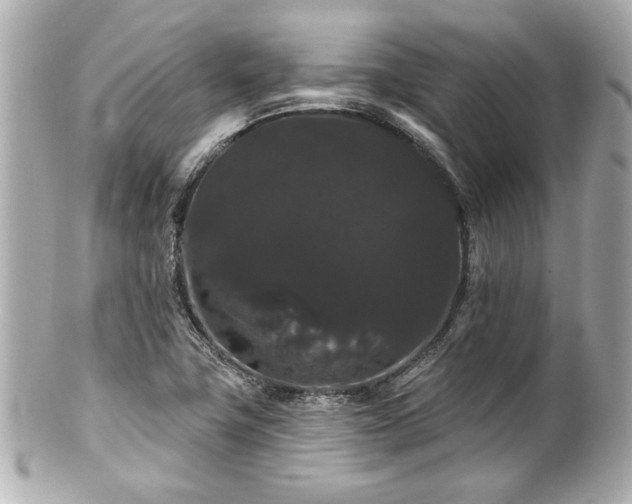 X0000100891411200807011146