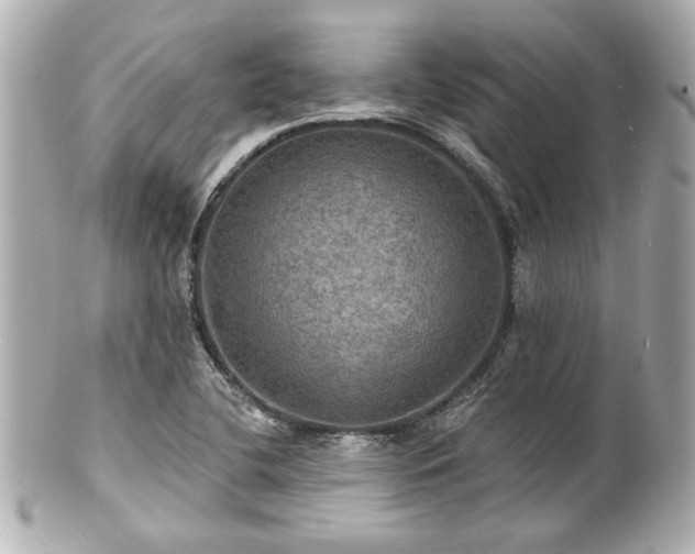 X0000100891412200807011146