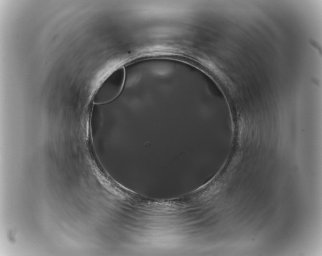 X0000100891413200807011146