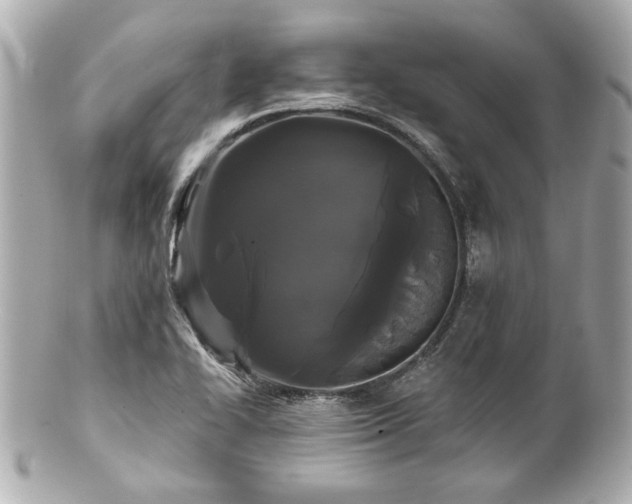 X0000100891414200807011146