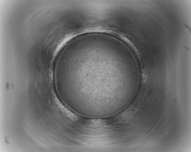 X0000100891416200807011146