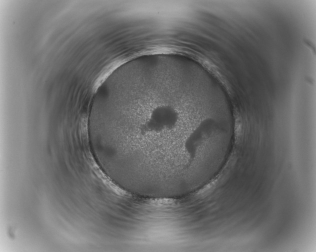 X0000100891417200807011146