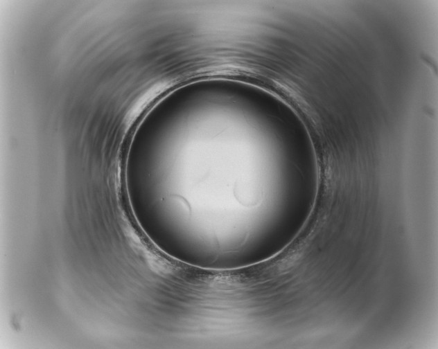 X0000100891418200807011146