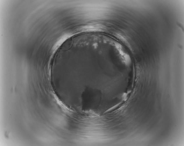 X0000100891419200807011146