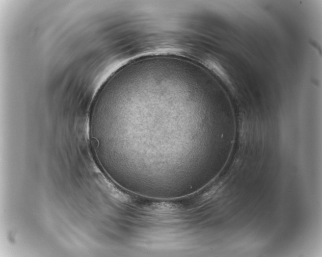 X0000100891420200807011146