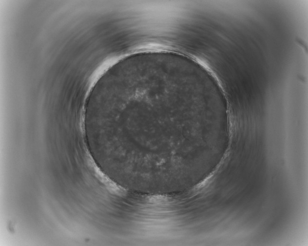 X0000100891421200807011146