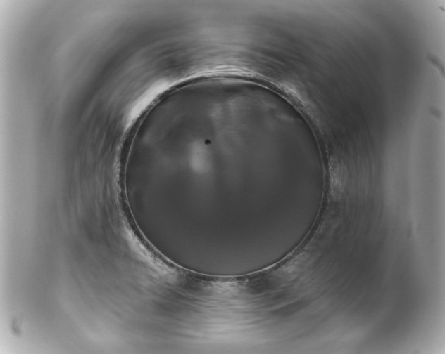 X0000100891422200807011146