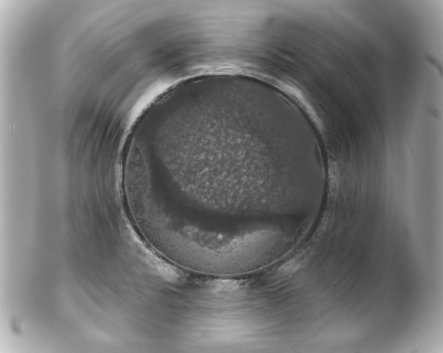 X0000100891424200807011146