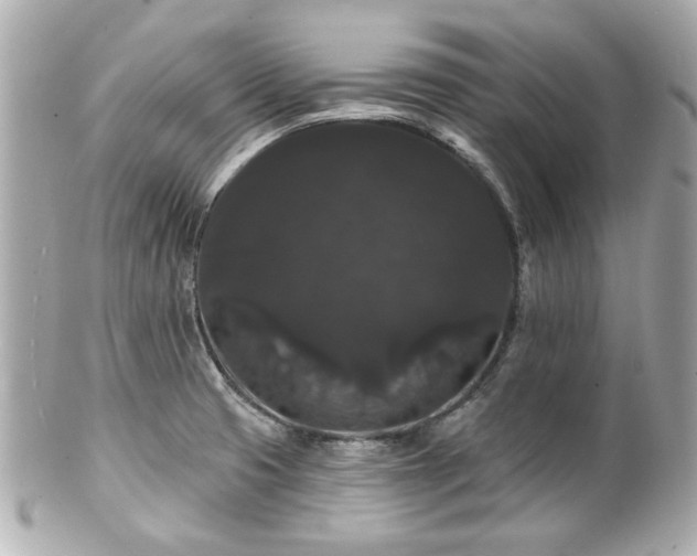 X0000100891425200807011146
