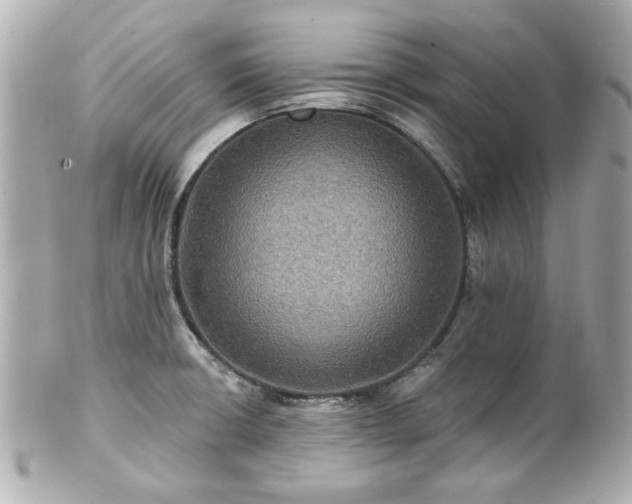 X0000100891426200807011146