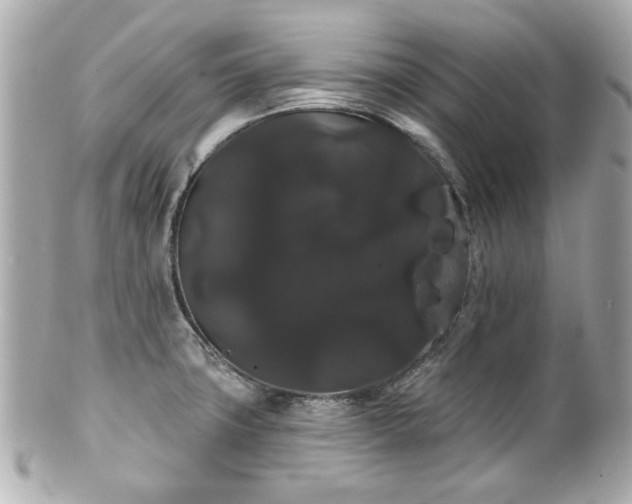 X0000100891427200807011147