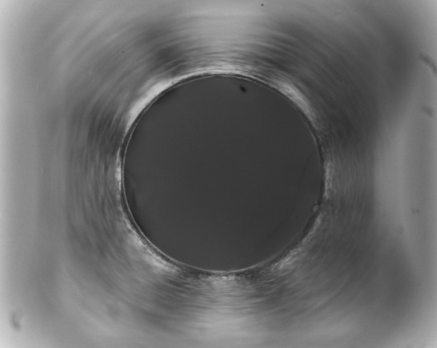 X0000100891428200807011147