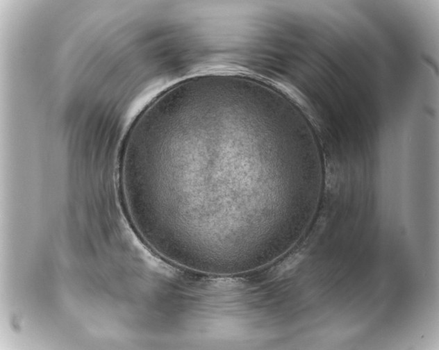 X0000100891430200807011147