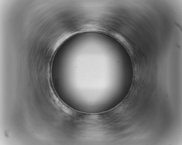 X0000100891431200807011147