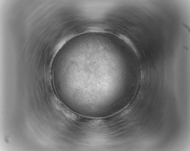 X0000100891435200807011147
