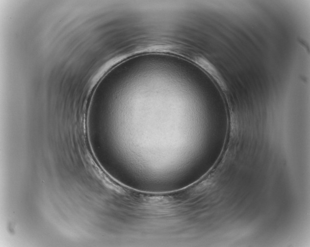 X0000100891436200807011147