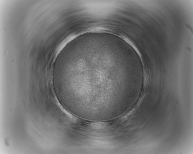X0000100891437200807011147