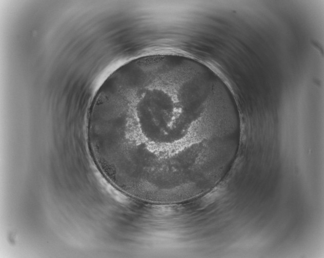 X0000100891438200807011147