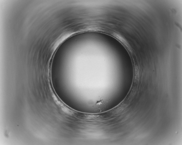 X0000100891439200807011147