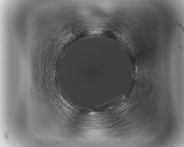 X0000100891441200807011146