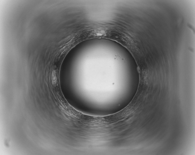 X0000100891442200807011146