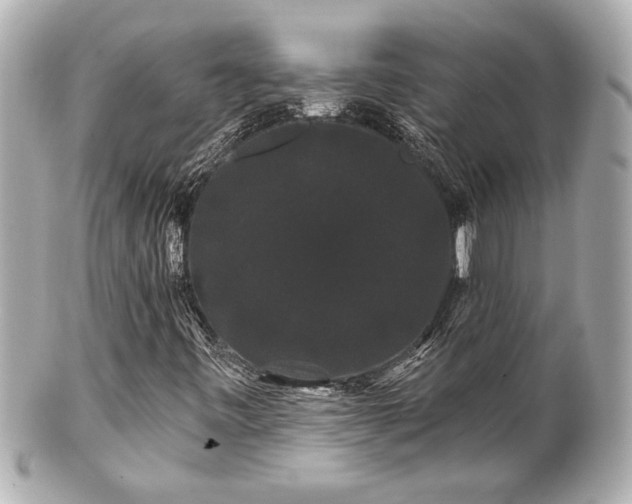 X0000100891443200807011146