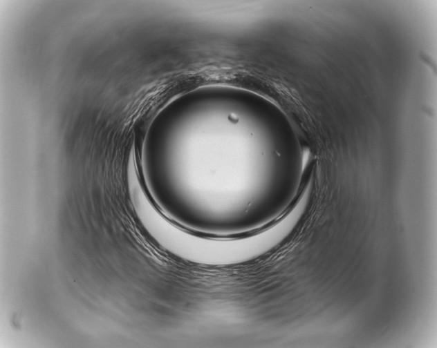 X0000100891444200807011146