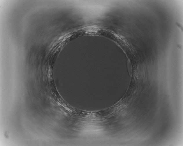 X0000100891445200807011146