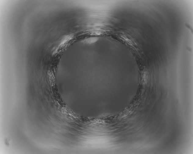 X0000100891446200807011146