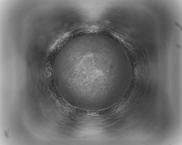 X0000100891447200807011146