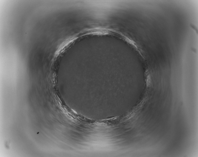 X0000100891448200807011146