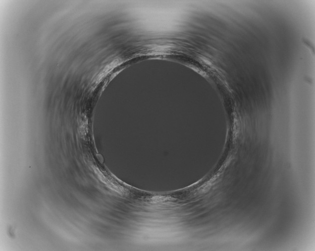 X0000100891449200807011146