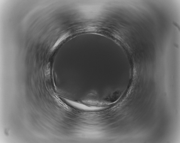 X0000100891450200807011146