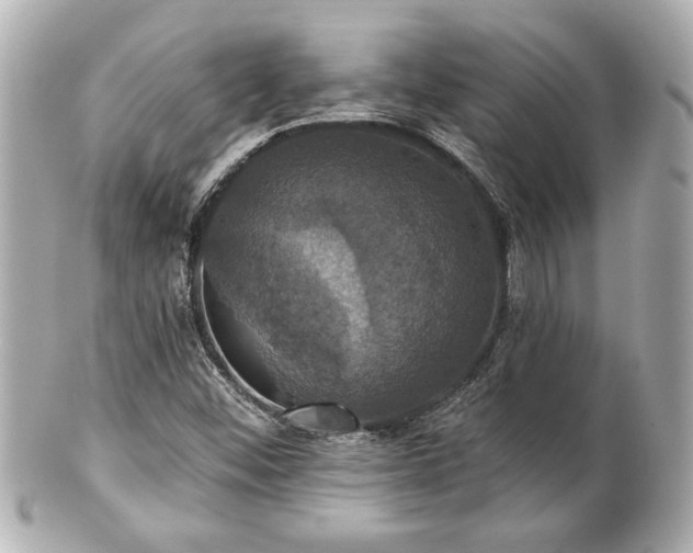 X0000100891452200807011146