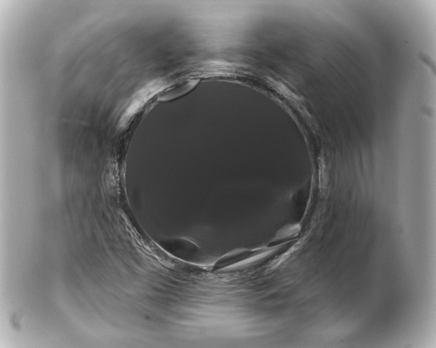 X0000100891453200807011146