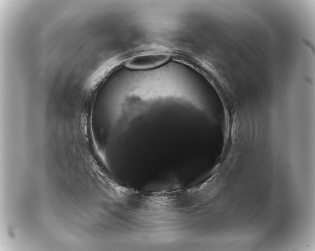 X0000100891455200807011146