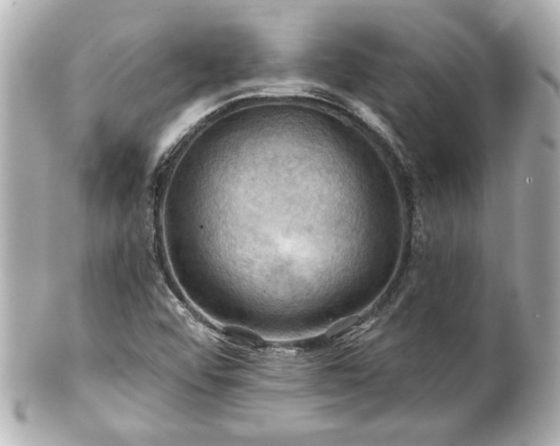 X0000100891456200807011146