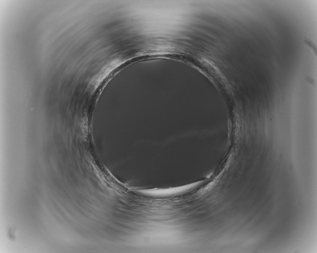 X0000100891457200807011146