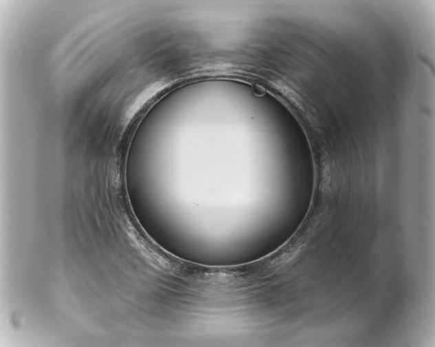 X0000100891458200807011146