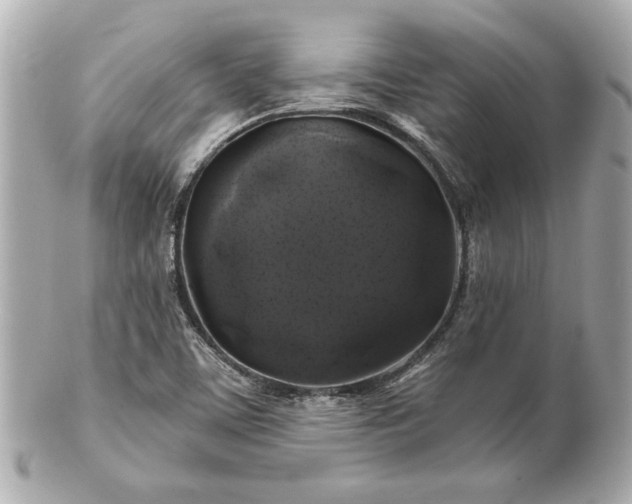 X0000100891459200807011146