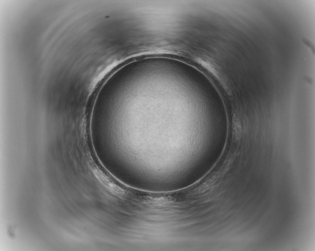 X0000100891460200807011146