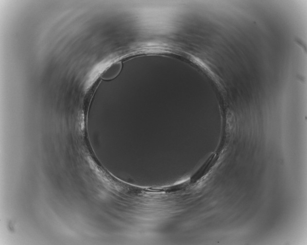 X0000100891461200807011146