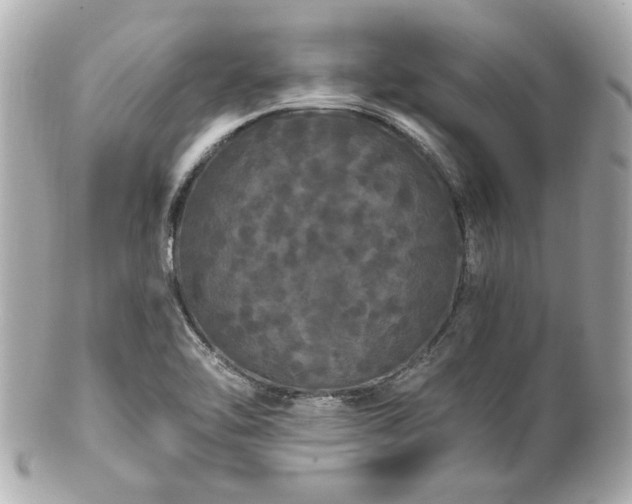 X0000100891462200807011146