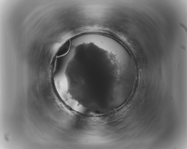 X0000100891463200807011146