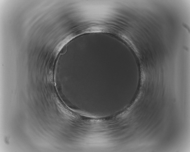X0000100891465200807011146