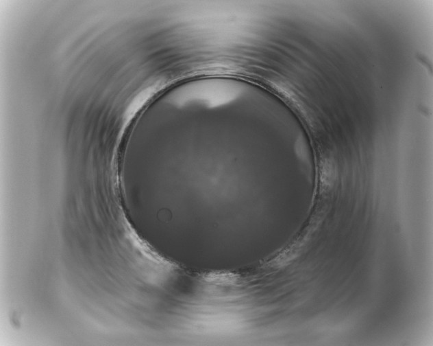 X0000100891466200807011146